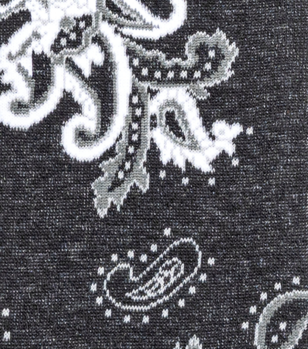 BOLD PAISLEY