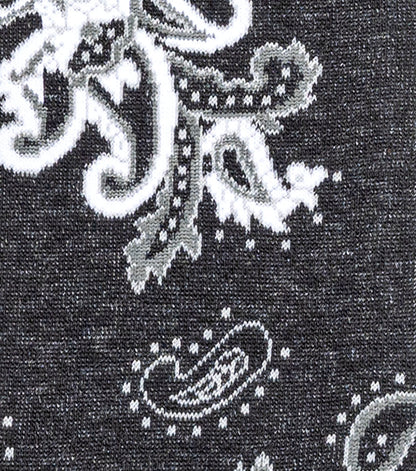 BOLD PAISLEY