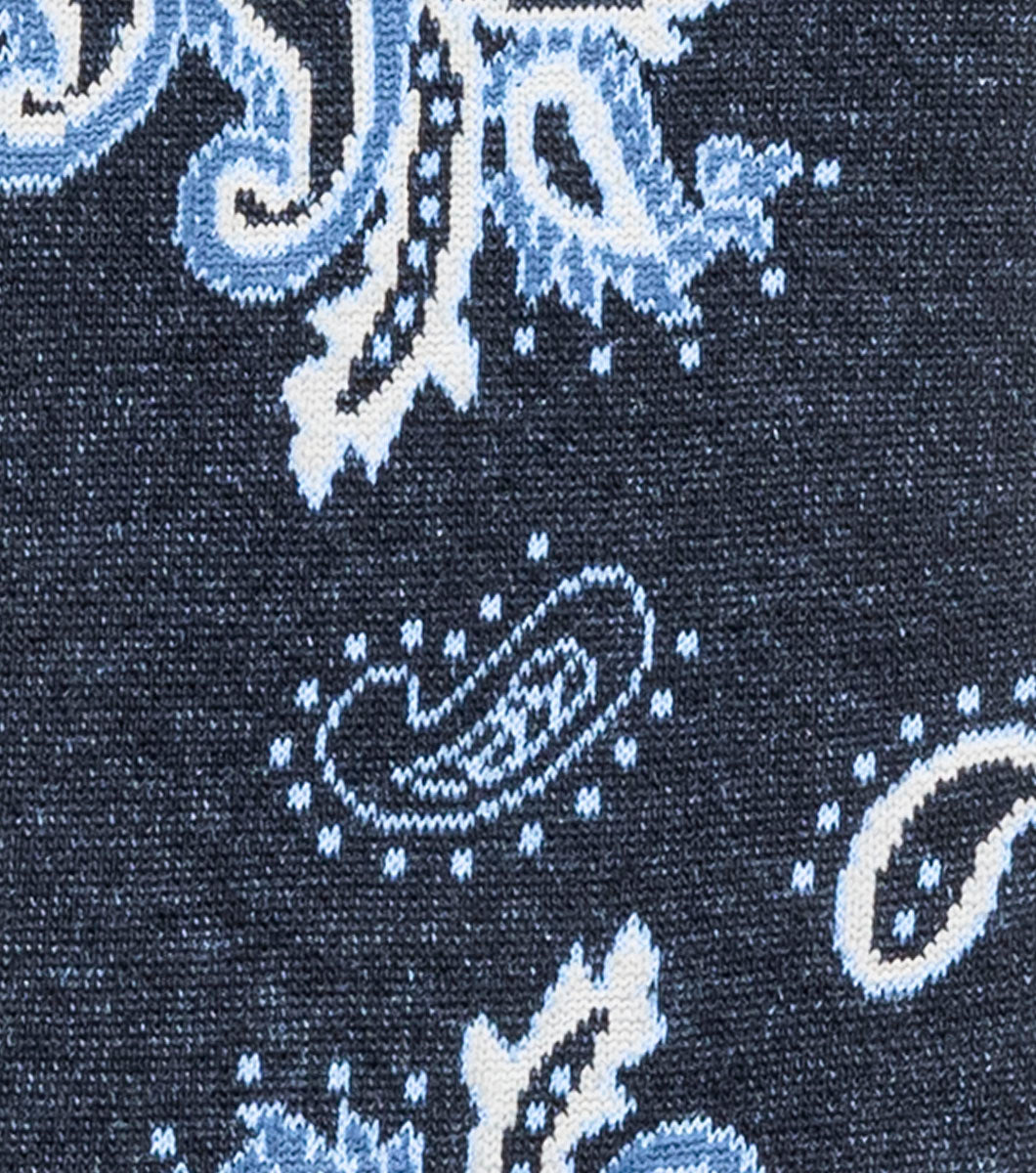 BOLD PAISLEY