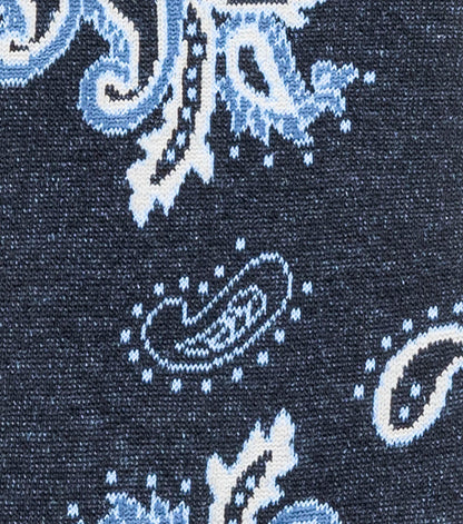 BOLD PAISLEY